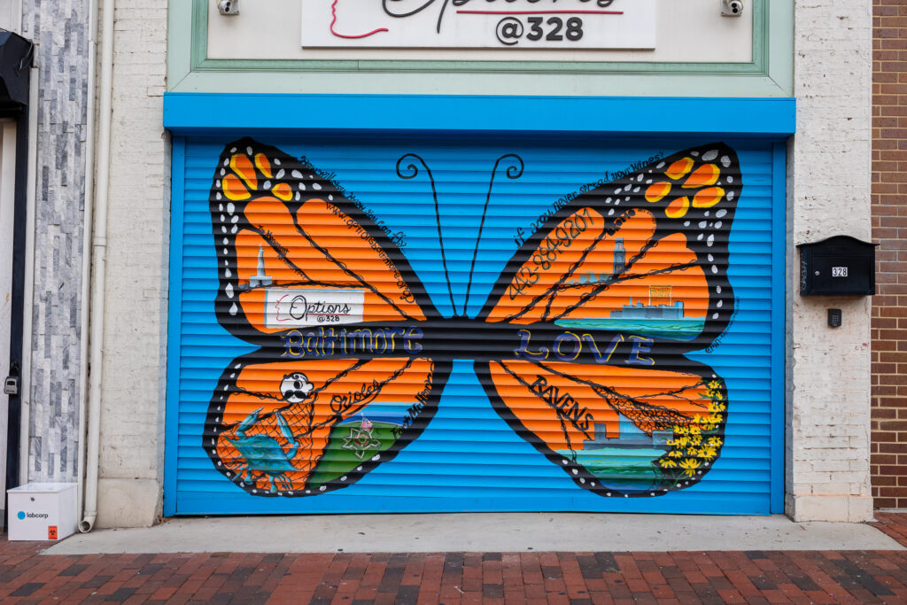 Butterfly
