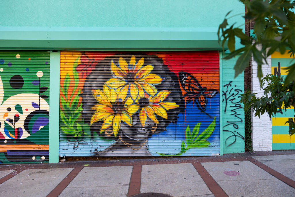410 N. Howard Street Mural